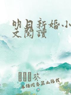 明日新婚小说全文阅读