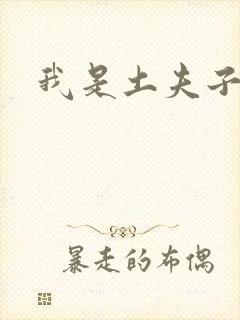 我是土夫子