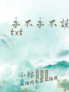 永不永不说再见txt