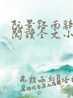 阮景路南辞免费阅读全文小说