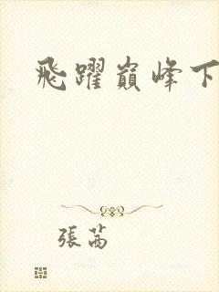 飞跃巅峰下载