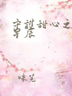 守护甜心之暗夜星辰