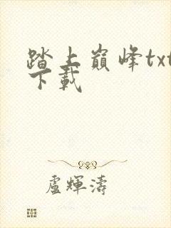 踏上巅峰txt下载