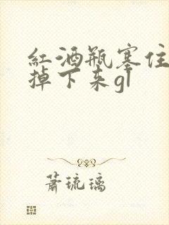 红酒瓶塞住不准掉下来gl