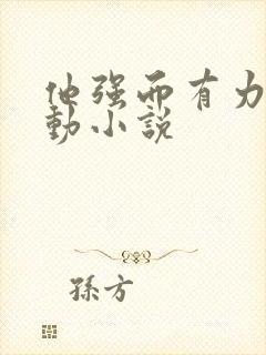 他强而有力的律动小说