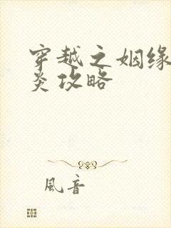 穿越之姻缘劫萧炎攻略