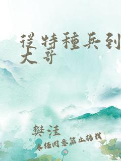 从特种兵到黑道大哥