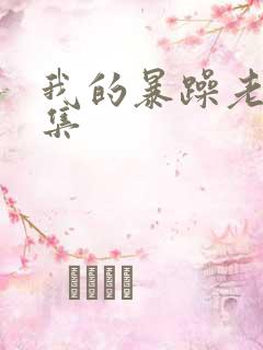 我的暴躁老妈全集