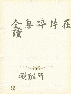 全息碎片在线阅读