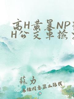 高H黄暴NP辣H公交车检票员
