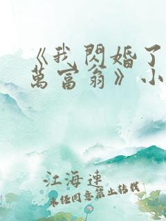 《我闪婚了个亿万富翁》小说