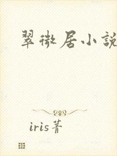 翠微居小说