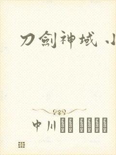 刀剑神域 小说