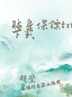 贴身保镖txt下载