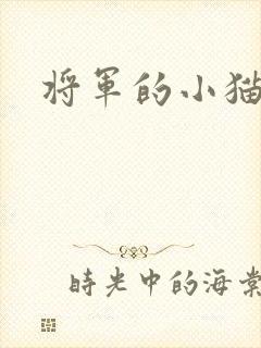 将军的小猫咪