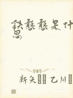 铁憨憨是什么意思