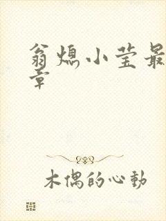 翁熄小莹最新节章