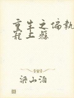 重生之偏执老公宠上瘾