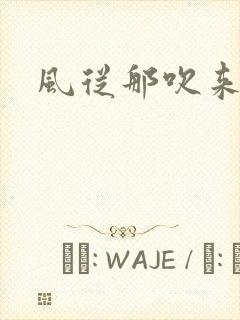 风从那吹来小说