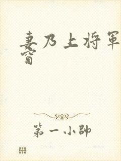 妻乃上将军无弹窗