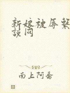 新娘被辱系列小说网