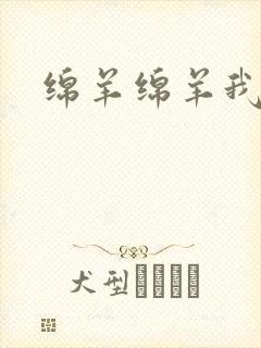 绵羊绵羊我爱你