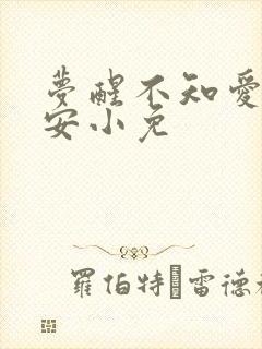 梦醒不知爱欢凉安小免