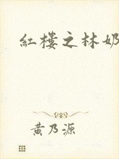 红楼之林奶奶