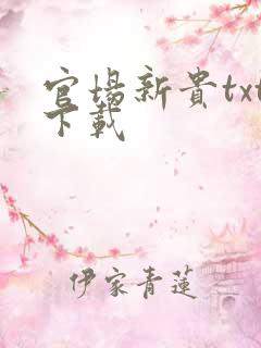 官场新贵txt下载