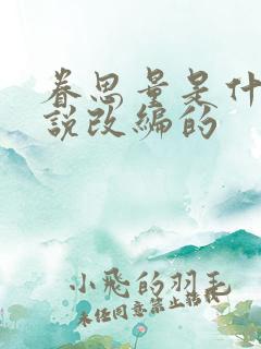 眷思量是什么小说改编的