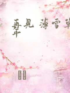 再见 薄雪草少年