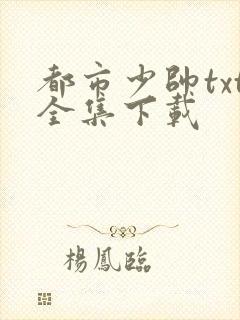 都市少帅txt全集下载