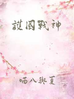 护国战神