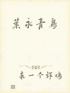 叶永青鸟