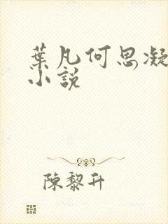 叶凡何思凝七月小说