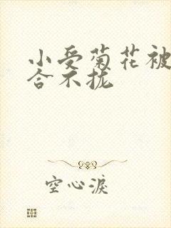 小受菊花被双龙合不拢