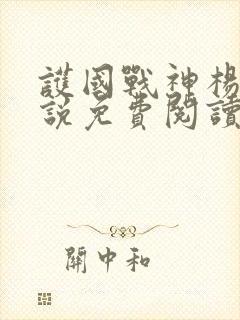 护国战神杨风小说免费阅读