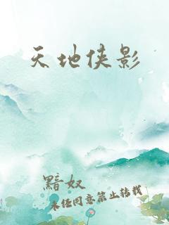 天地侠影