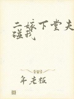 二嫁下堂夫君别碰我
