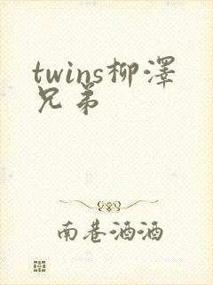 twins柳泽兄弟
