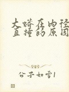 大蟒在内径横冲直撞的原因