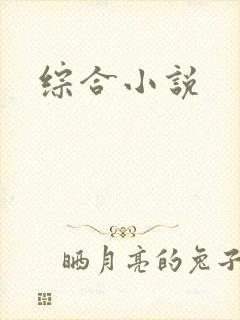 综合小说