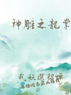 神雕之龙掌门