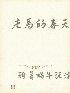 老马的春天敏静