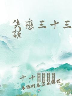 失恋三十三天小说