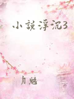 小说浮沉3