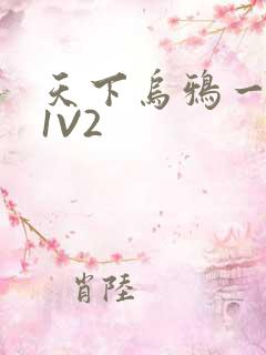 天下乌鸦一般黑1V2