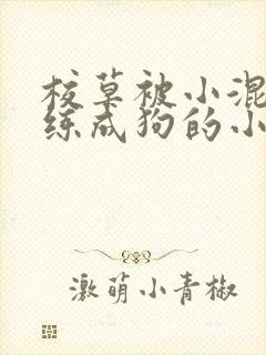 校草被小混混训练成狗的小说