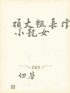 硕大粗长撑裂了 小龙女