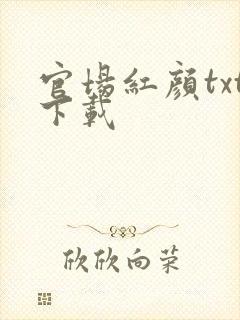 官场红颜txt下载